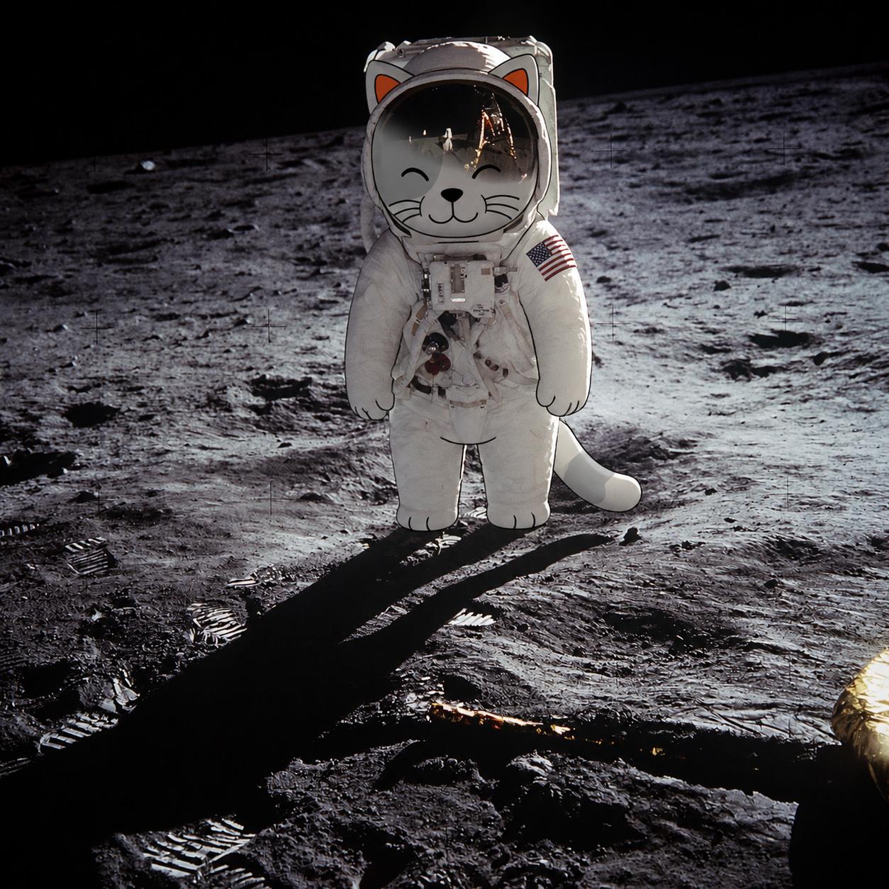Purr Cat astronaut standing on the moon